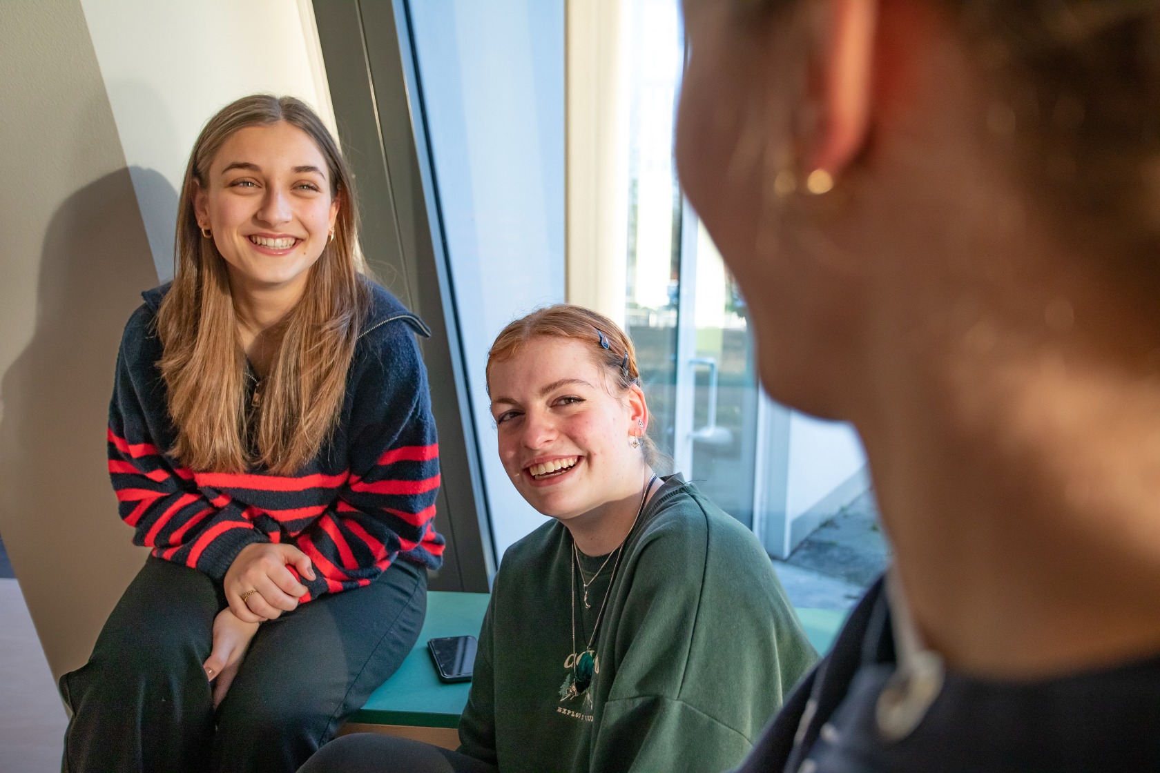 Rijnijssel 230117-0262