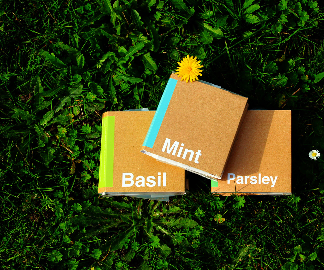 Een presentje tijdens de Dag van de Leraar